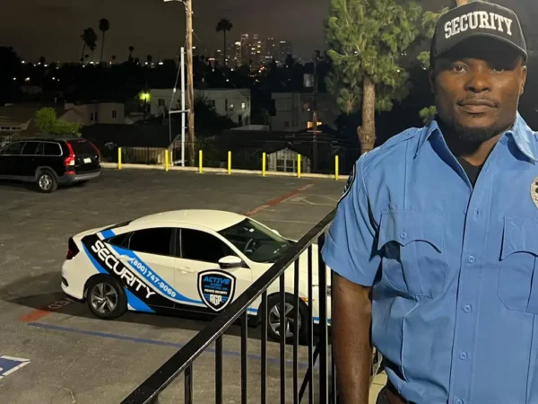 Vehicle Patrol Service in California